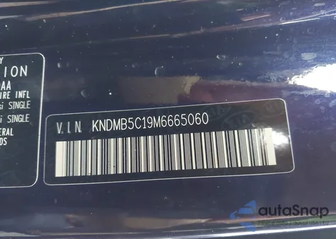 2021 Kia Sedona Ex из США, поврежденный, VIN KNDMB5C19M6665060